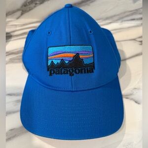 Patagonia Solid Snap Back Trucker Hat